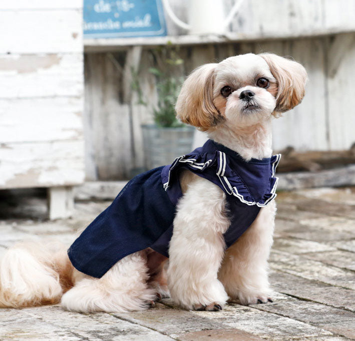 犬の服 クールラインワンピース ネイビー 犬と生活 ドッグウェア inu20ss7b – ドッグウェアのCIERA Shopify店